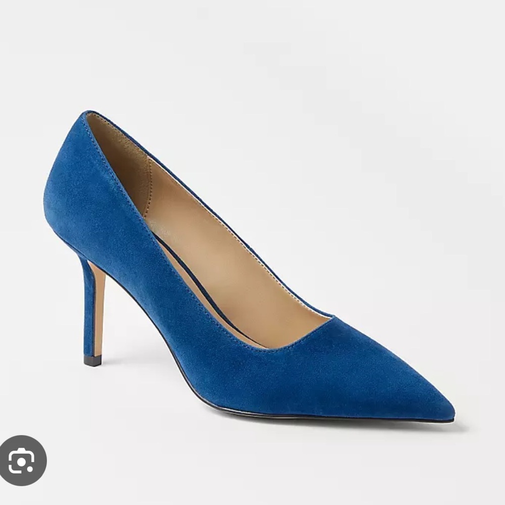 Ann Taylor Mae Suede Blue Pumps 9